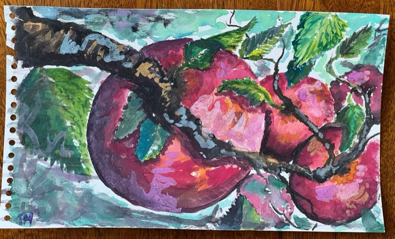 Watercolour of a cluster of red apples among green leaves on a branch, against a teal wash.