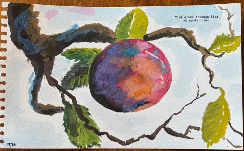 Watercolour of a single mauve apple hanging from a gnarled branch with green leaves, on a notebook page.