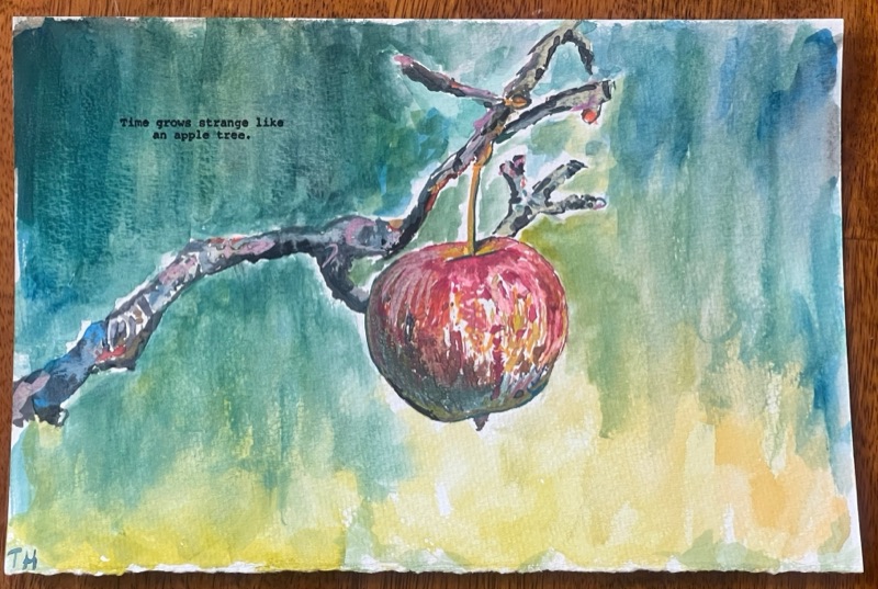 Watercolour of a small red apple hanging from a thin bare branch, teal sky above and a yellow wash below.