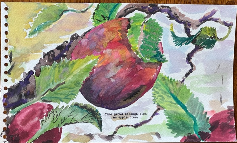 Watercolour of an apple among green leaves on a branch, on hole-punched paper.