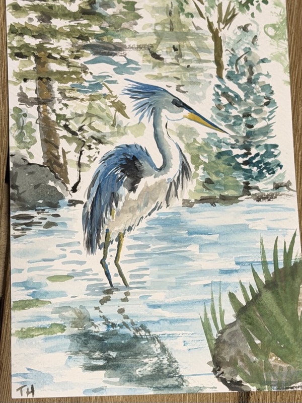 Watercolour of a great blue heron standing in shallow water among green reeds, a pale birch trunk at the right.
