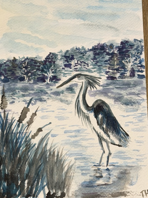 Watercolour of a heron among tall reeds at the water's edge, a distant treeline behind.