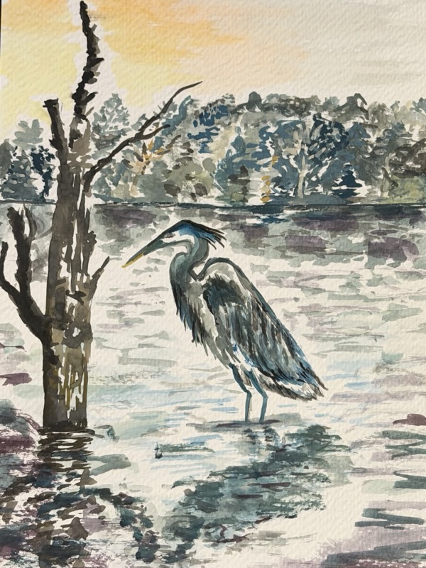 Watercolour of a heron standing in open water beside a bare tree trunk, a dark treeline behind.
