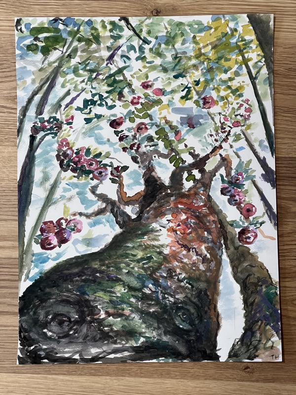 Watercolour looking up the mossy trunk of an old apple tree in blossom, pink flowers and green leaves against a pale sky.