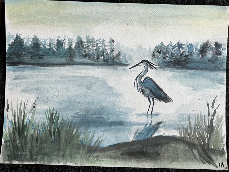 Watercolour of a heron standing in a still lake, a dark line of pines across the water and reeds in the foreground.