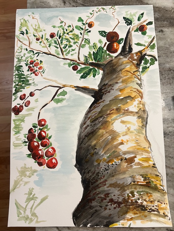 Watercolour looking up a mottled tree trunk, clusters of red berries on a branch and a small bird among the leaves.